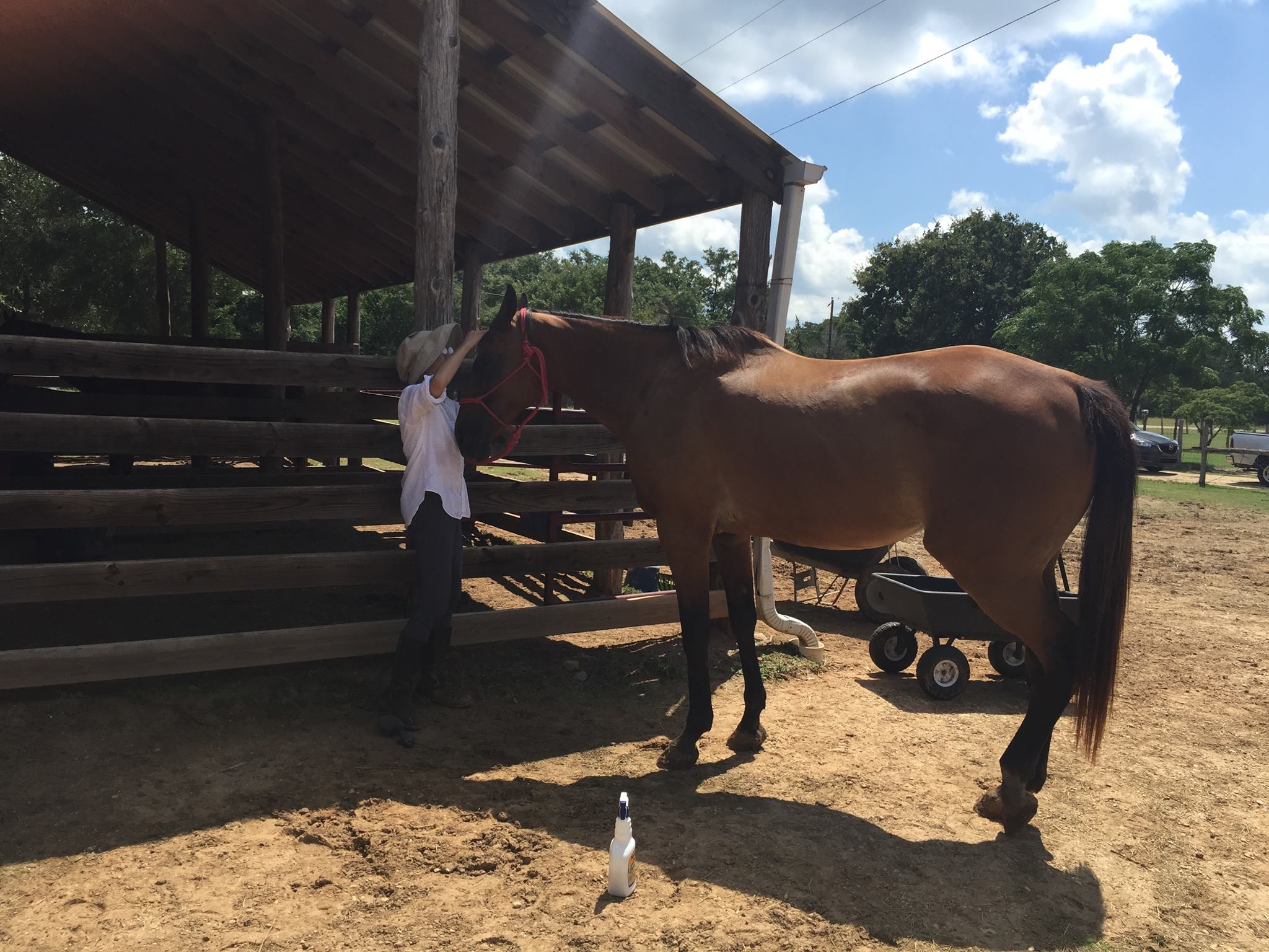 本日の馬セミナー