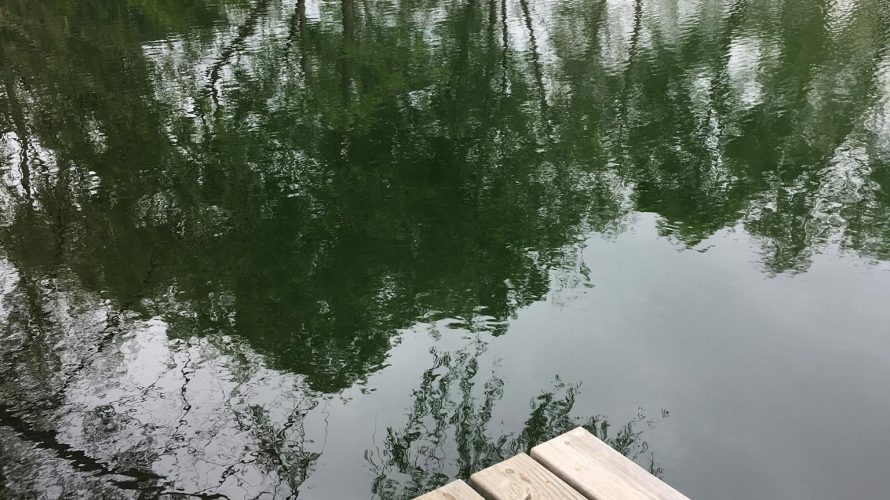 生き物がいっぱい